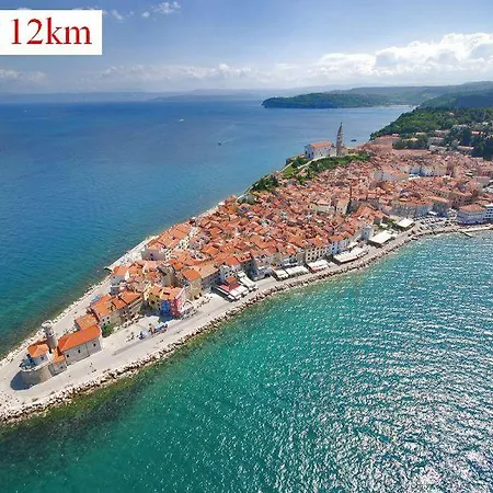 Apartmaji In Vinogradnistvo Klobas Secovlje