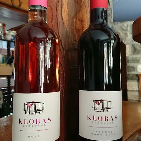 Apartmaji In Vinogradnistvo Klobas Apartment