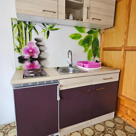 Apartmaji In Vinogradnistvo Klobas Sečovlje